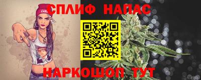 твердый Моздок