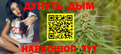 Альфа ПВП Нальчик