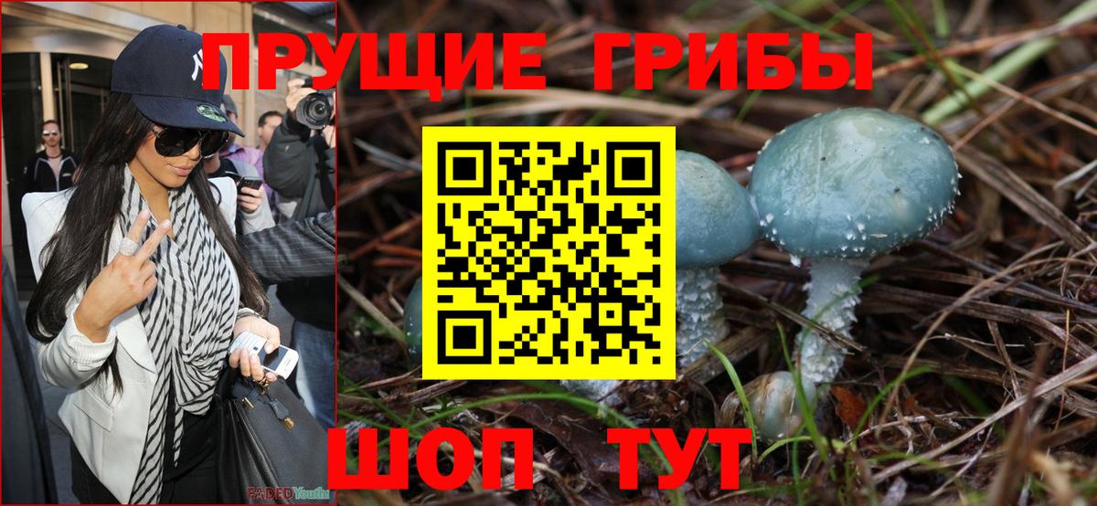 Галлюциногенные грибы Magic Shrooms Симферополь